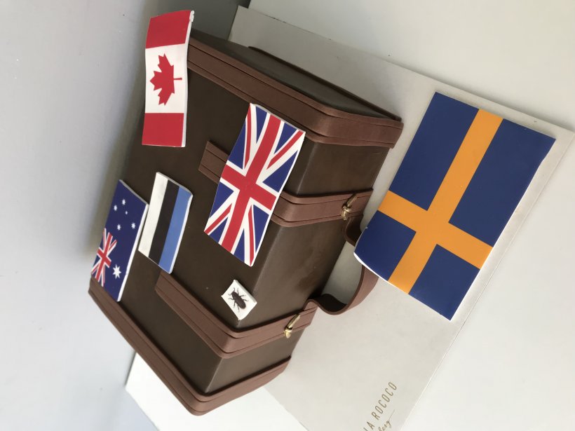 Luggage Cake